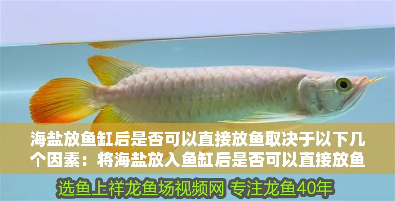 海鹽放魚缸后是否可以直接放魚取決于以下幾個因素：將海鹽放入魚缸后是否可以直接放魚取決于以下幾個因素 海鹽放魚缸后是否可以直接放魚取決于以下幾個因素：將海鹽放入魚缸后是否可以直接放魚取決于以下幾個因素 魚缸百科