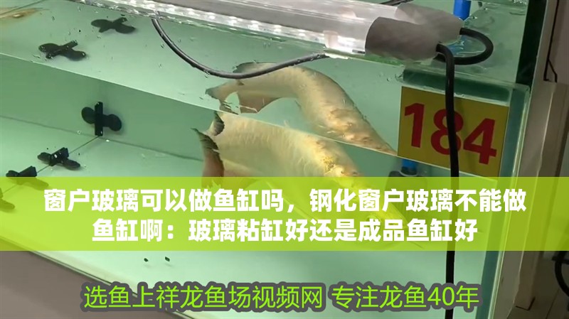 窗戶玻璃可以做魚缸嗎，鋼化窗戶玻璃不能做魚缸?。翰Ａд掣缀眠€是成品魚缸好