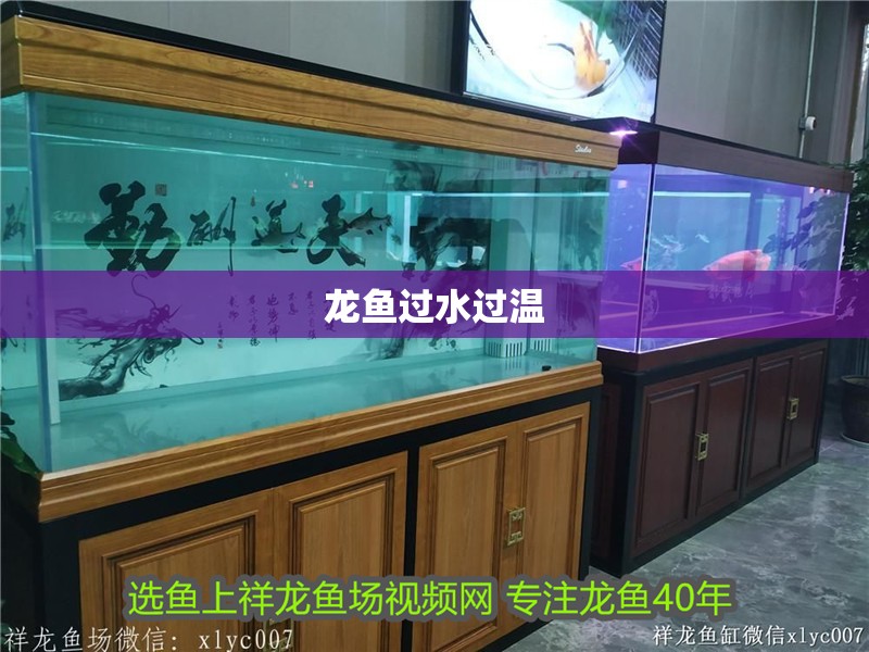 龍魚過水過溫 龍魚百科 第4張 龍魚過水過溫 龍魚過水過溫 龍魚百科 第4張