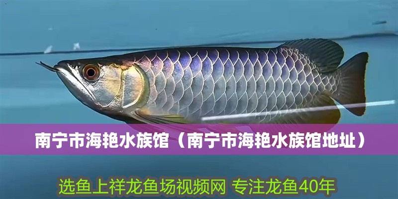 南寧市海艷水族館（南寧市海艷水族館地址）