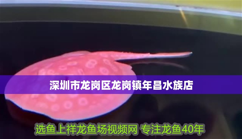 深圳市龍崗區(qū)龍崗鎮(zhèn)年昌水族店 深圳市龍崗區(qū)龍崗鎮(zhèn)年昌水族店 全國水族館企業(yè)名錄 第2張