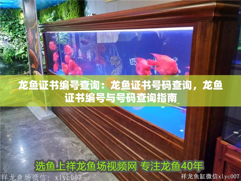 龍魚證書編號查詢：龍魚證書號碼查詢，龍魚證書編號與號碼查詢指南