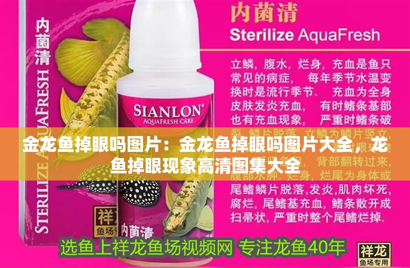 金龍魚掉眼嗎圖片：金龍魚掉眼嗎圖片大全，龍魚掉眼現象高清圖集大全