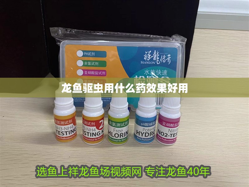 龍魚驅(qū)蟲用什么藥效果好用 龍魚驅(qū)蟲用什么藥效果好用 龍魚百科 第2張