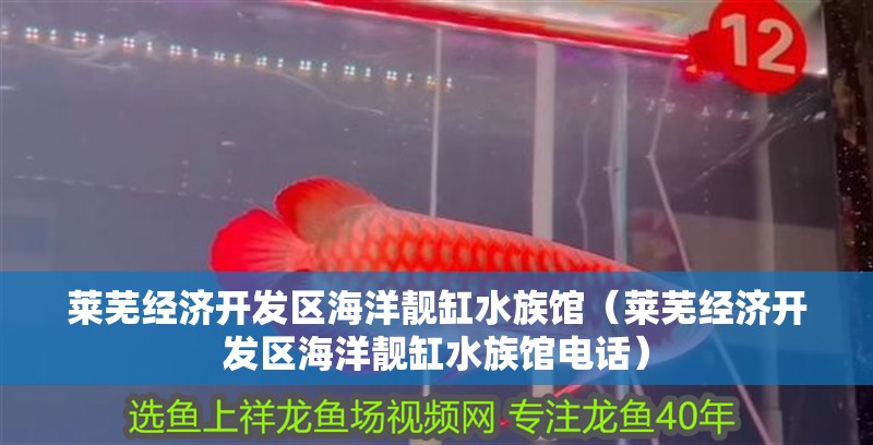 萊蕪經濟開發區海洋靚缸水族館（萊蕪經濟開發區海洋靚缸水族館電話）