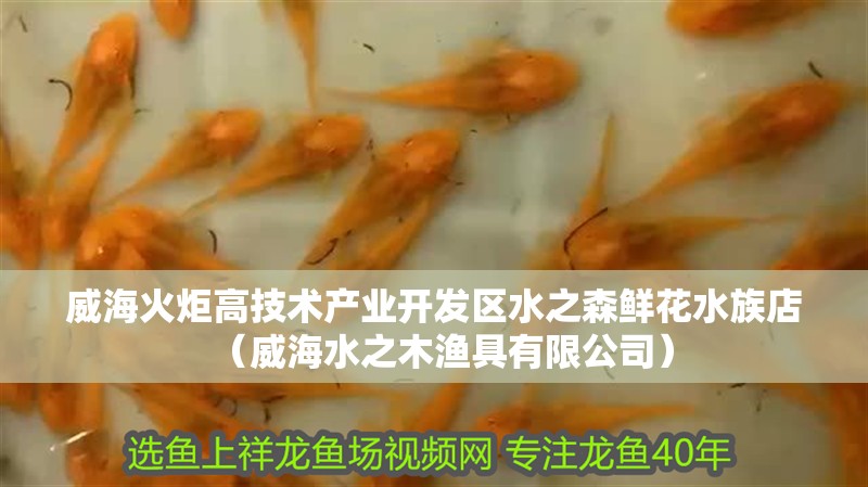 威海火炬高技術產業開發區水之森鮮花水族店（威海水之木漁具有限公司）
