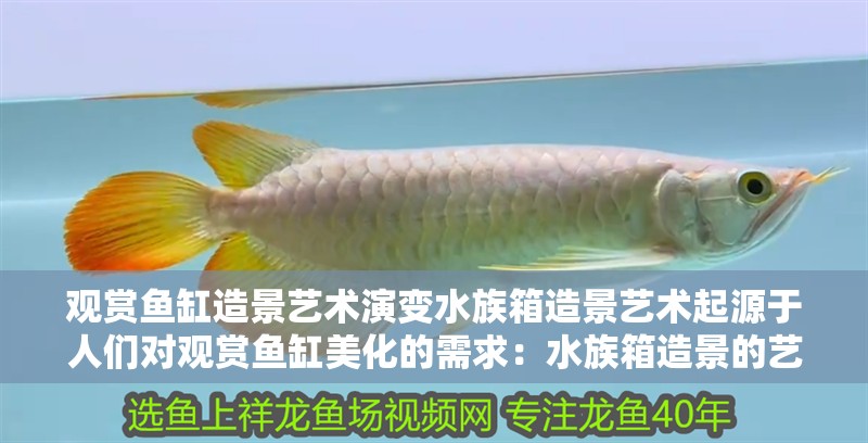 觀賞魚缸造景藝術演變水族箱造景藝術起源于人們對觀賞魚缸美化的需求：水族箱造景的藝術演變
