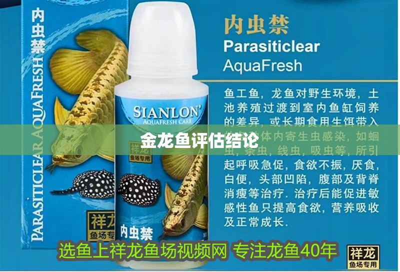 金龍魚評估結論