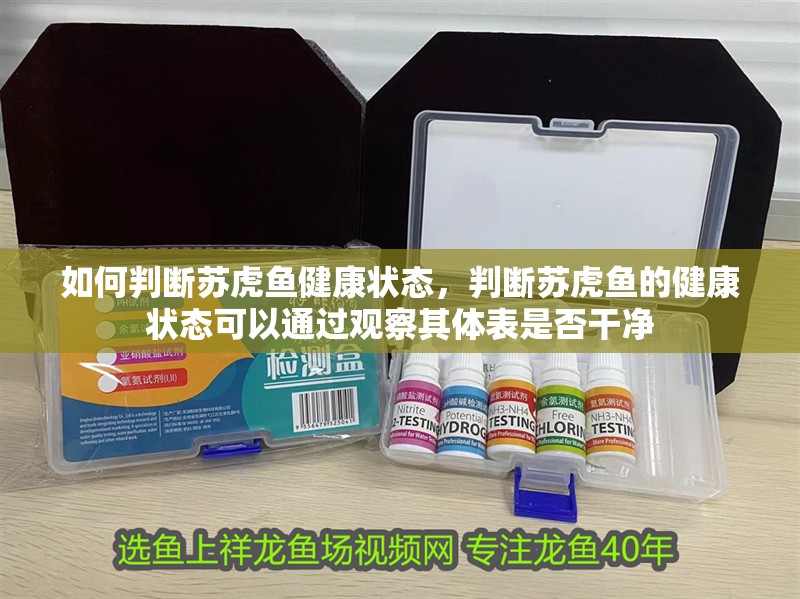 如何判斷蘇虎魚健康狀態，判斷蘇虎魚的健康狀態可以通過觀察其體表是否干凈
