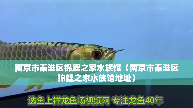 南京市秦淮區(qū)錦鯉之家水族館(南京市秦淮區(qū)錦鯉之家水族館地址) 全國水族館企業(yè)名錄 第2張 南京市秦淮區(qū)錦鯉之家水族館(南京市秦淮區(qū)錦鯉之家水族館地址) 南京市秦淮區(qū)錦鯉之家水族館(南京市秦淮區(qū)錦鯉之家水族館地址) 全國水族館企業(yè)名錄 第2張