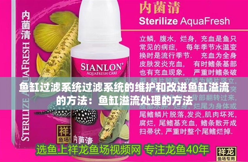 魚缸過濾系統過濾系統的維護和改進魚缸溢流的方法：魚缸溢流處理的方法