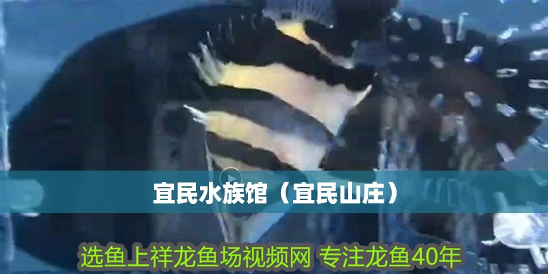 宜民水族館（宜民山莊）