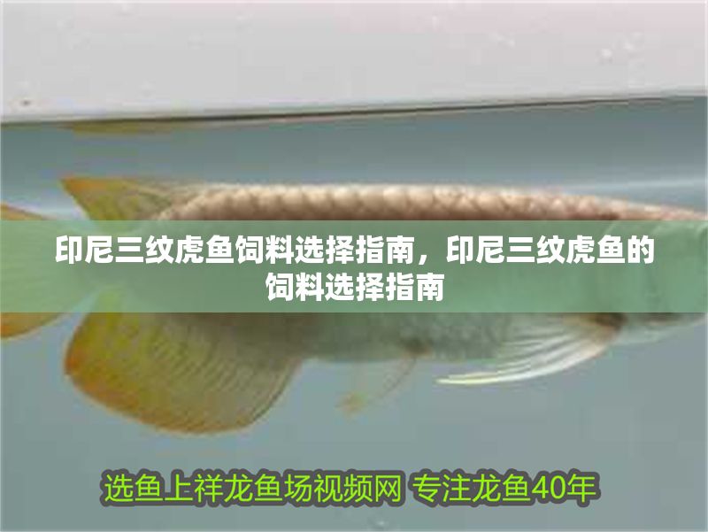印尼三紋虎魚飼料選擇指南，印尼三紋虎魚的飼料選擇指南