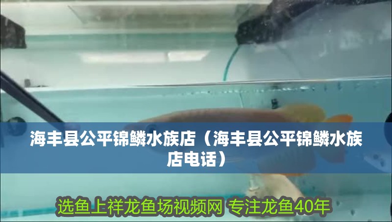 海豐縣公平錦鱗水族店(海豐縣公平錦鱗水族店電話) 全國水族館企業名錄 第2張 海豐縣公平錦鱗水族店(海豐縣公平錦鱗水族店電話) 海豐縣公平錦鱗水族店(海豐縣公平錦鱗水族店電話) 全國水族館企業名錄 第2張