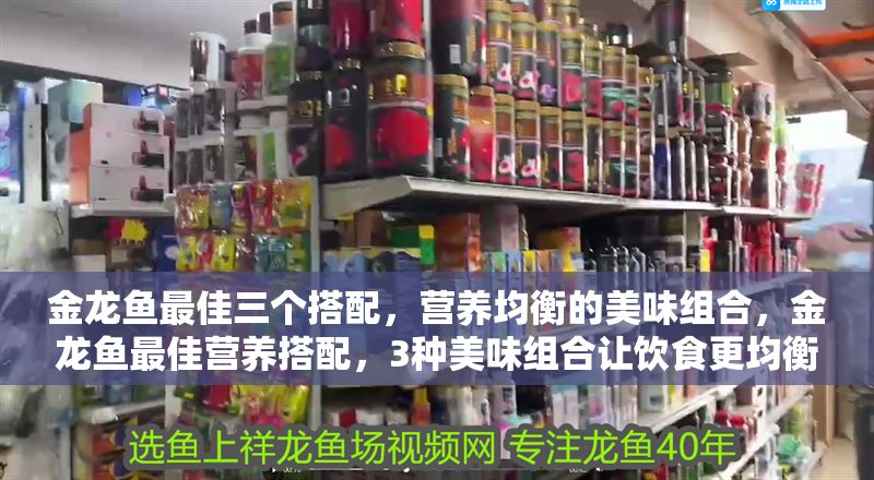 金龍魚最佳三個搭配，營養均衡的美味組合，金龍魚最佳營養搭配，3種美味組合讓飲食更均衡