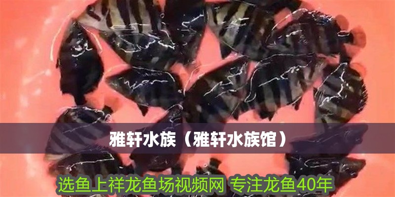 雅軒水族（雅軒水族館） 雅軒水族（雅軒水族館） 全國水族館企業名錄 第2張