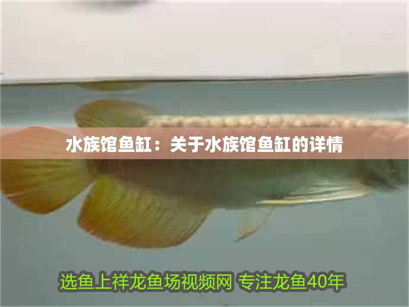 水族館魚缸：關于水族館魚缸的詳情