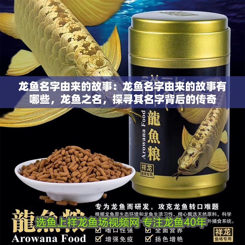 龍魚名字由來的故事：龍魚名字由來的故事有哪些，龍魚之名，探尋其名字背后的傳奇