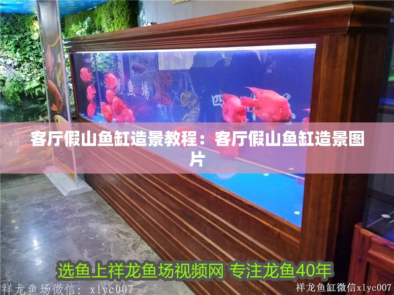 我的虎魚真菌感染了要怎么處理 客廳假山魚缸造景教程:客廳假山魚缸造景圖片 魚缸百科 客廳假山魚缸造景教程:客廳假山魚缸造景圖片 客廳假山魚缸造景教程:客廳假山魚缸造景圖片 魚缸百科