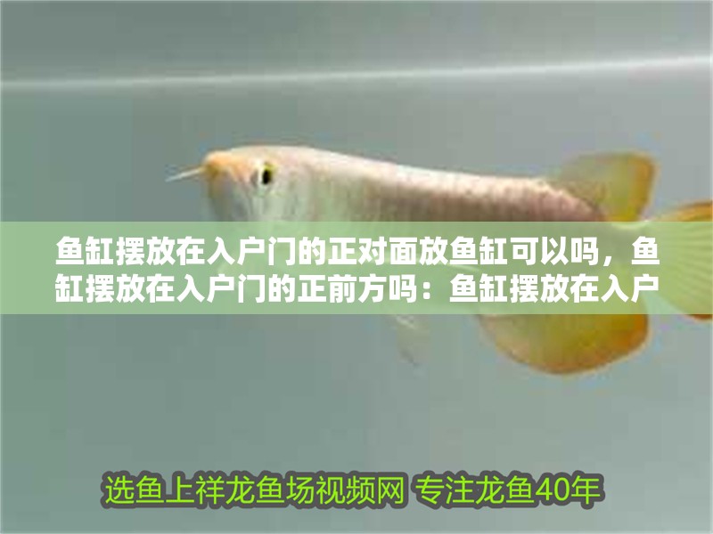 魚缸擺放在入戶門的正對面放魚缸可以嗎，魚缸擺放在入戶門的正前方嗎：魚缸擺放在入戶門的正對方可以嗎？