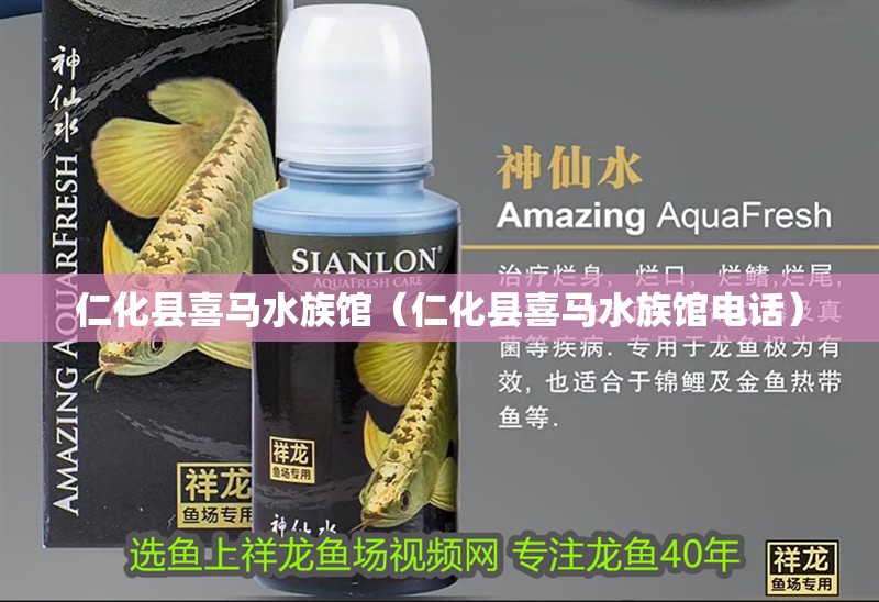 仁化縣喜馬水族館(仁化縣喜馬水族館電話) 全國水族館企業名錄 第2張 仁化縣喜馬水族館(仁化縣喜馬水族館電話) 仁化縣喜馬水族館(仁化縣喜馬水族館電話) 全國水族館企業名錄 第2張