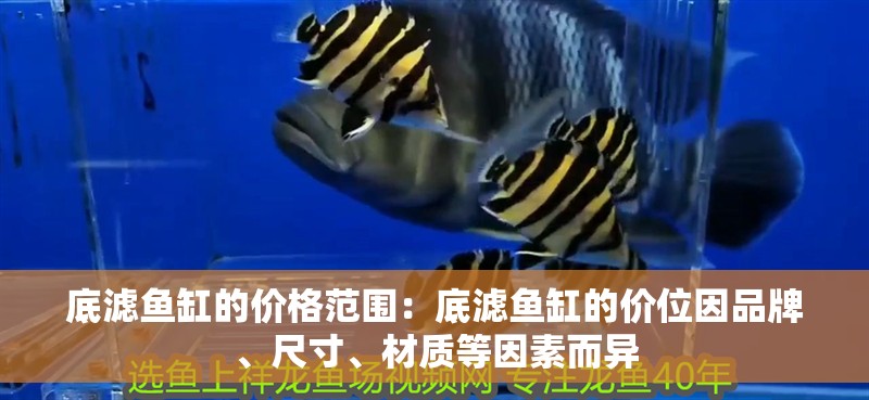 底濾魚缸的價格范圍：底濾魚缸的價位因品牌、尺寸、材質等因素而異