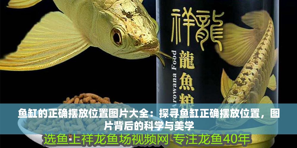 魚缸的正確擺放位置圖片大全：探尋魚缸正確擺放位置，圖片背后的科學與美學