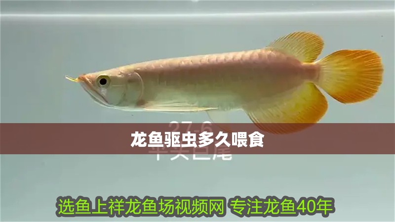 龍魚驅蟲多久喂食