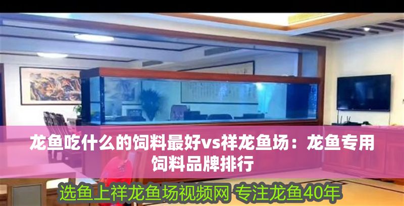 龍魚吃什么的飼料最好vs祥龍魚場:龍魚專用飼料品牌排行 vs祥龍魚場 第1張 龍魚吃什么的飼料最好vs祥龍魚場:龍魚專用飼料品牌排行 龍魚吃什么的飼料最好vs祥龍魚場:龍魚專用飼料品牌排行 vs祥龍魚場 第1張