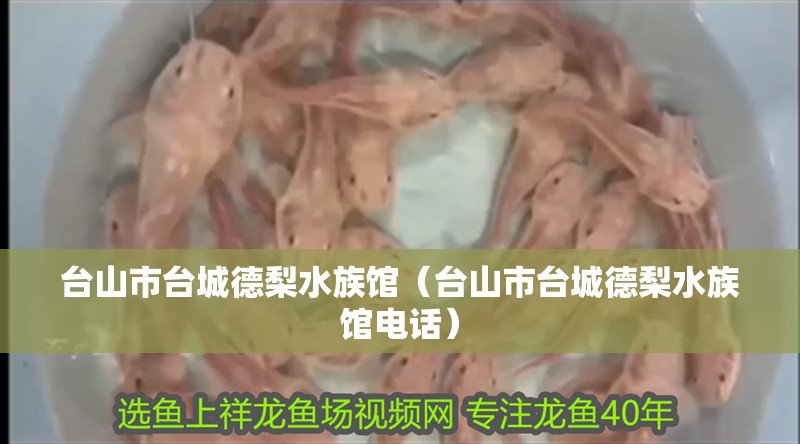 臺山市臺城德梨水族館（臺山市臺城德梨水族館電話）