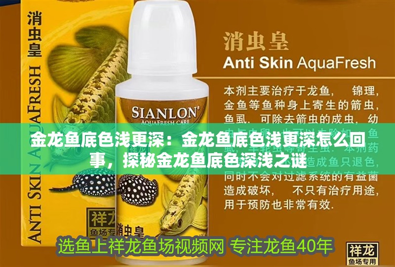 金龍魚底色淺更深：金龍魚底色淺更深怎么回事，探秘金龍魚底色深淺之謎 金龍魚底色淺更深：金龍魚底色淺更深怎么回事，探秘金龍魚底色深淺之謎 水族問答