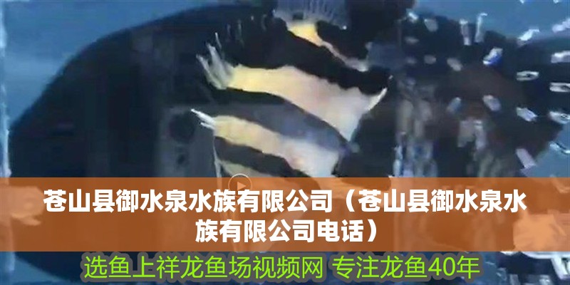蒼山縣御水泉水族有限公司（蒼山縣御水泉水族有限公司電話）