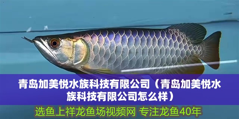 青島加美悅水族科技有限公司（青島加美悅水族科技有限公司怎么樣）