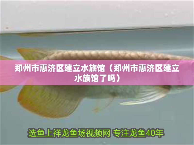 鄭州市惠濟區建立水族館（鄭州市惠濟區建立水族館了嗎） 鄭州市惠濟區建立水族館（鄭州市惠濟區建立水族館了嗎） 全國水族館企業名錄 第2張