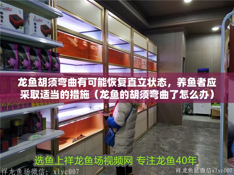 龍魚胡須彎曲有可能恢復直立狀態,養魚者應采取適當的措施(龍魚的胡須彎曲了怎么辦) 龍魚百科 第2張 龍魚胡須彎曲有可能恢復直立狀態,養魚者應采取適當的措施(龍魚的胡須彎曲了怎么辦) 龍魚胡須彎曲有可能恢復直立狀態,養魚者應采取適當的措施(龍魚的胡須彎曲了怎么辦) 龍魚百科 第2張