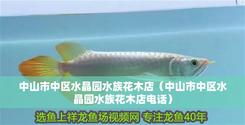中山市中區水晶園水族花木店（中山市中區水晶園水族花木店電話）