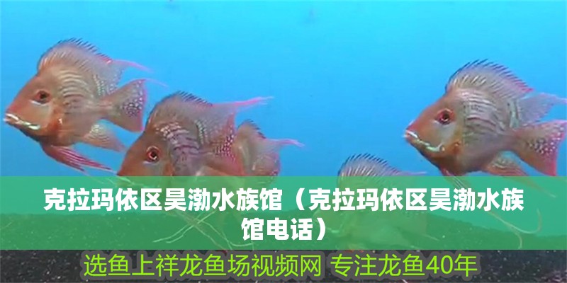 克拉瑪依區昊渤水族館（克拉瑪依區昊渤水族館電話）