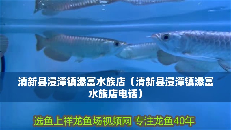 清新縣浸潭鎮(zhèn)添富水族店（清新縣浸潭鎮(zhèn)添富水族店電話） 清新縣浸潭鎮(zhèn)添富水族店（清新縣浸潭鎮(zhèn)添富水族店電話） 全國水族館企業(yè)名錄 第2張