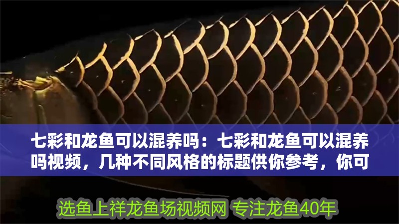 七彩和龍魚可以混養嗎：七彩和龍魚可以混養嗎視頻，幾種不同風格的標題供你參考，你可以根據需求進行選擇，，深度解析，七彩與龍魚能否混養？附視頻解答，揭秘！七彩和龍魚到底能不能混養？看這個視頻就知道，必看視頻，七彩、龍魚混養可行性全揭秘
