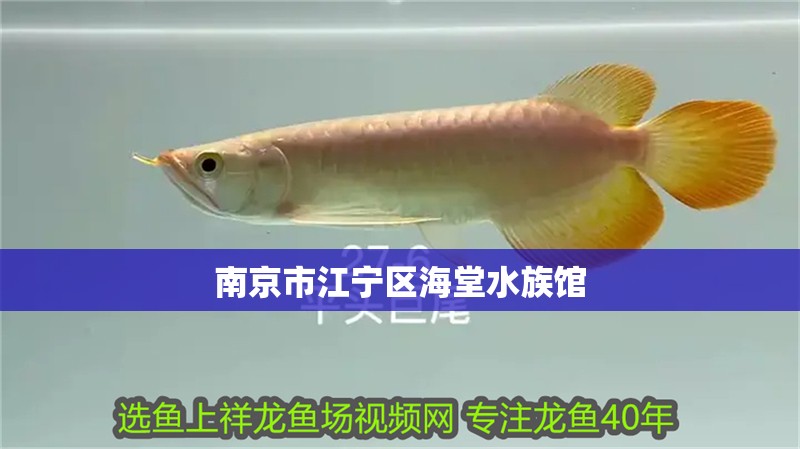 南京市江寧區海堂水族館