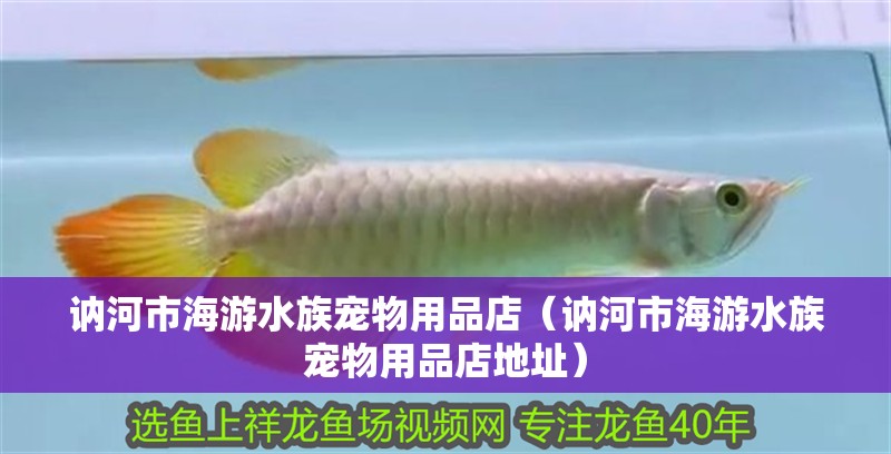 訥河市海游水族寵物用品店（訥河市海游水族寵物用品店地址）