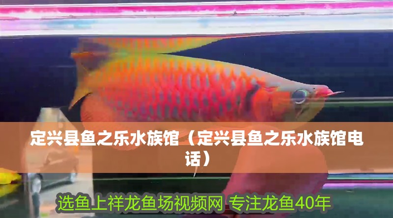 定興縣魚之樂水族館(定興縣魚之樂水族館電話) 全國水族館企業名錄 第2張 定興縣魚之樂水族館(定興縣魚之樂水族館電話) 定興縣魚之樂水族館(定興縣魚之樂水族館電話) 全國水族館企業名錄 第2張