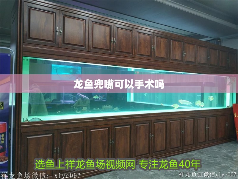 龍魚兜嘴可以手術嗎