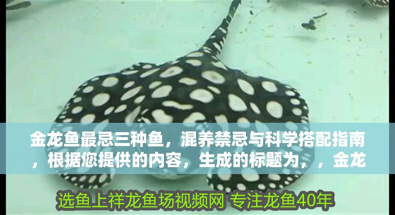 金龍魚最忌三種魚，混養禁忌與科學搭配指南，根據您提供的內容，生成的標題為，，金龍魚混養三大禁忌，避坑指南與科學搭配技巧