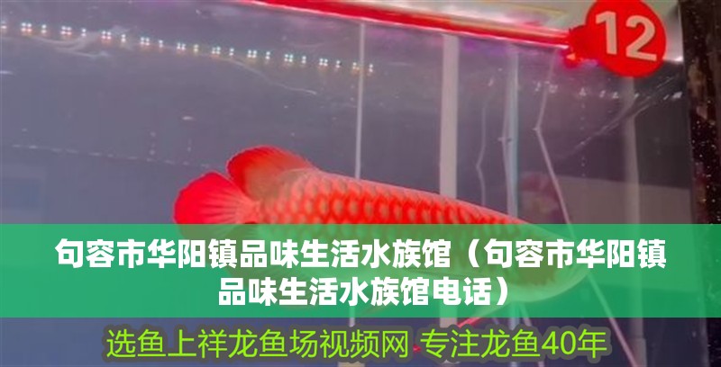 句容市華陽鎮品味生活水族館（句容市華陽鎮品味生活水族館電話） 句容市華陽鎮品味生活水族館（句容市華陽鎮品味生活水族館電話） 全國水族館企業名錄 第2張