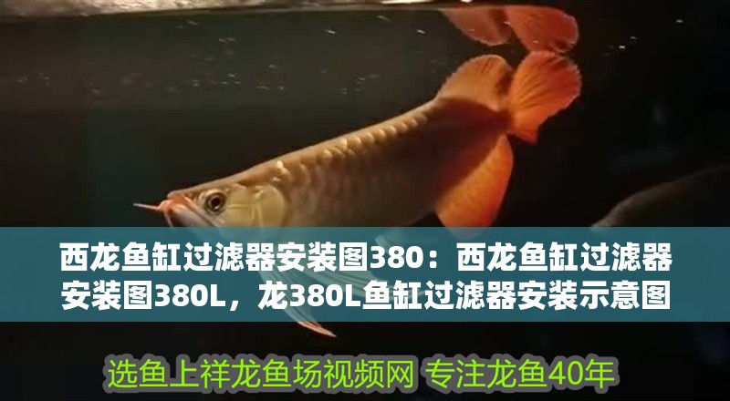 西龍魚缸過濾器安裝圖380：西龍魚缸過濾器安裝圖380L，龍380L魚缸過濾器安裝示意圖 西龍魚缸過濾器安裝圖380：西龍魚缸過濾器安裝圖380L，龍380L魚缸過濾器安裝示意圖 水族問答