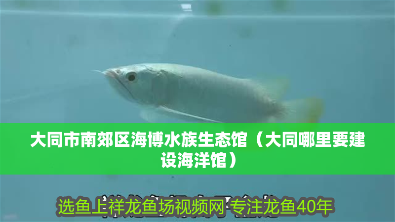 大同市南郊區(qū)海博水族生態(tài)館（大同哪里要建設(shè)海洋館）