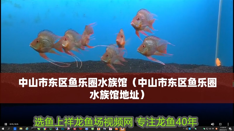 中山市東區魚樂圈水族館（中山市東區魚樂圈水族館地址）