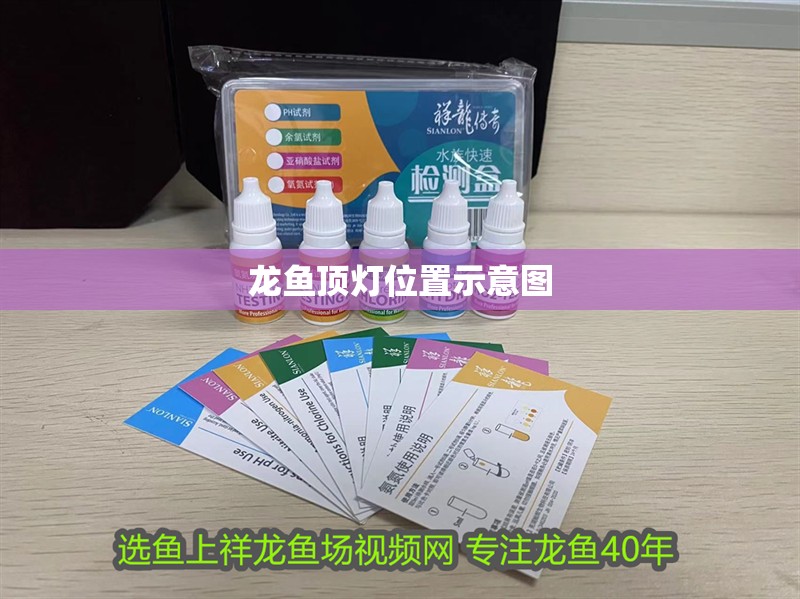 龍魚頂燈位置示意圖