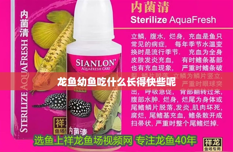 龍魚幼魚吃什么長得快些呢 龍魚百科 第2張 龍魚幼魚吃什么長得快些呢 龍魚幼魚吃什么長得快些呢 龍魚百科 第2張